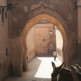 Ezel in de Medina